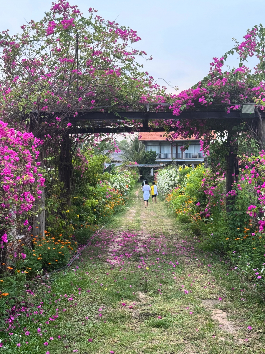 Thuê Biệt Thự Hồ Tràm Theo Ngày - The Cottage Hồ Tràm Hills