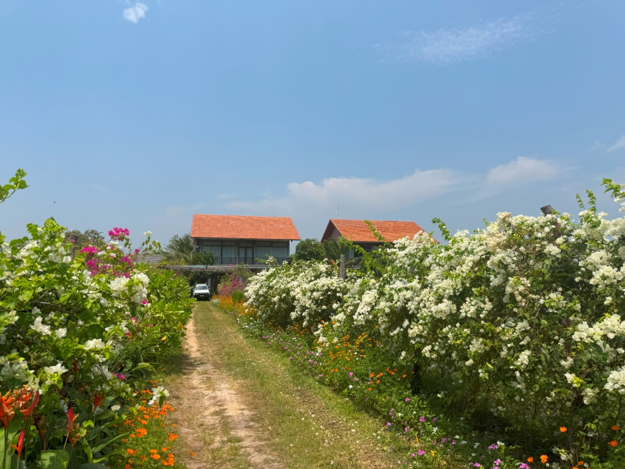 Thuê Villa Hồ Tràm Gần Khu Cắm Trại – Trải Nghiệm Thật Chill
