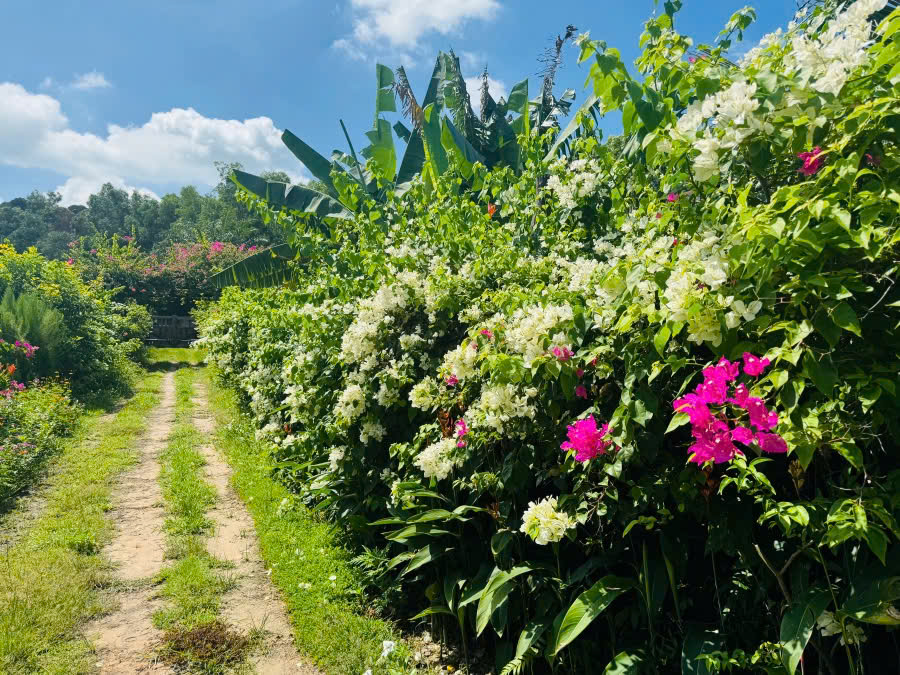 Thuê Biệt Thự Hồ Tràm Mùa Hè Tránh Nóng