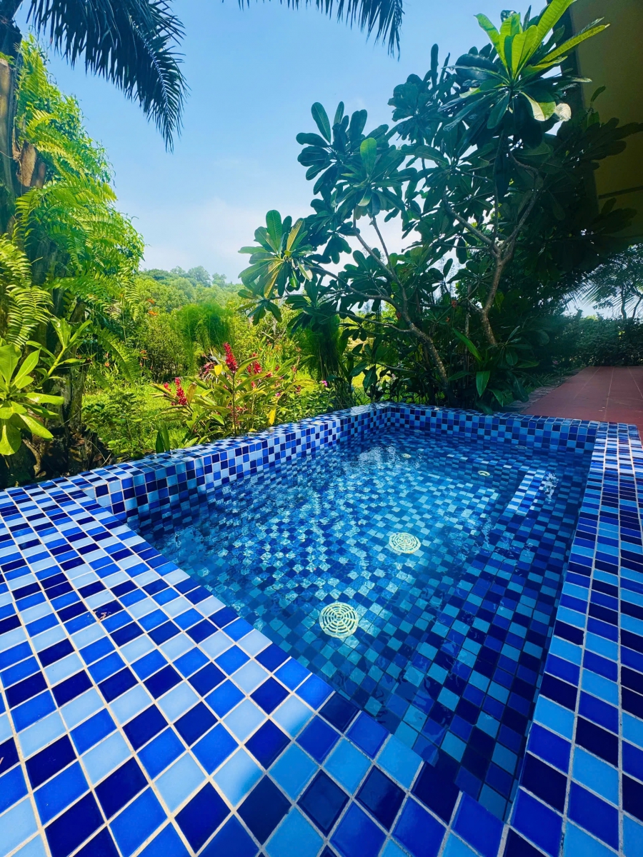 Thuê Biệt Thự Hồ Tràm View Chill Giữa Thiên Nhiên
