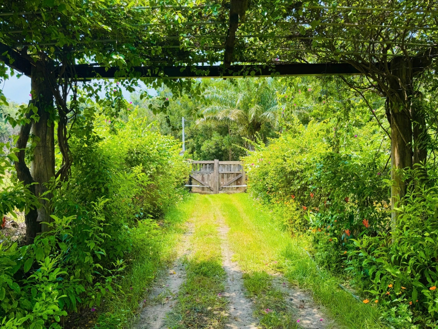 Thuê Villa Hồ Tràm Giá Rẻ Du Lịch Ngắn Hạn