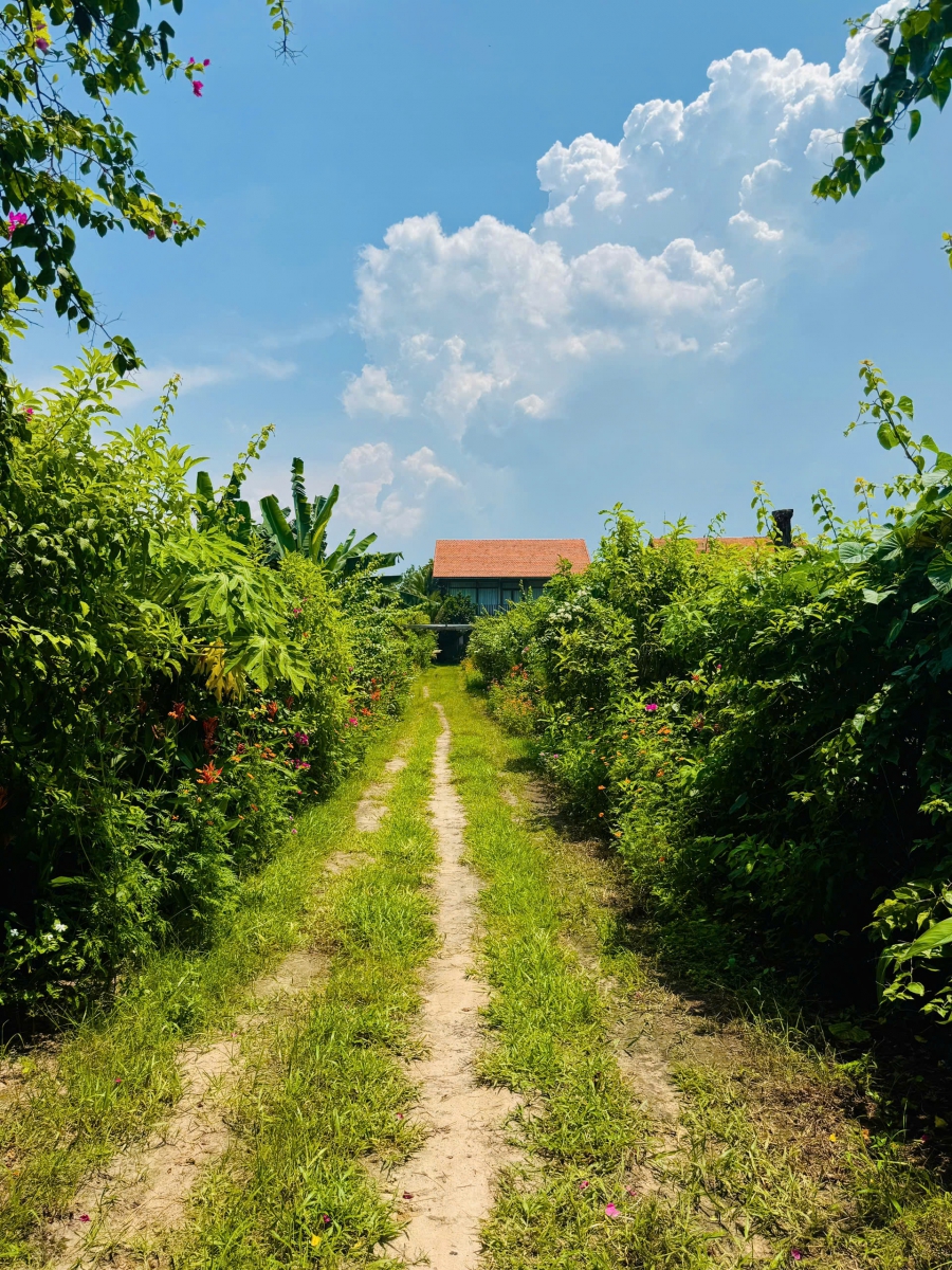 Thuê Villa Hồ Tràm Tổ Chức Tiệc Tất Niên