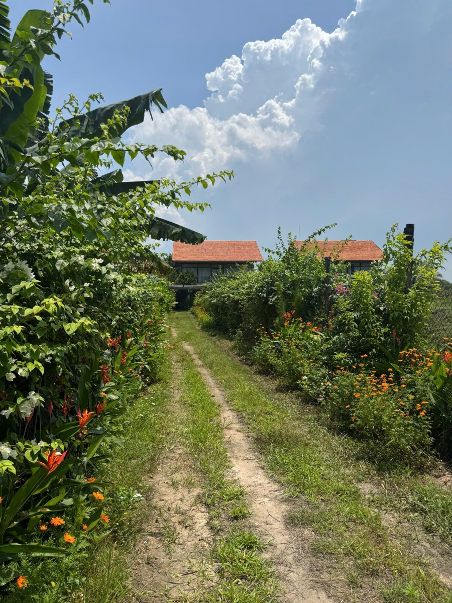 Thuê Villa Hồ Tràm Gần Trung Tâm