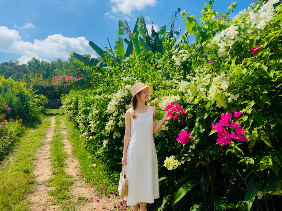Du Lịch Hồ Tràm Cho Người Muốn Tránh Xa Thành Phố