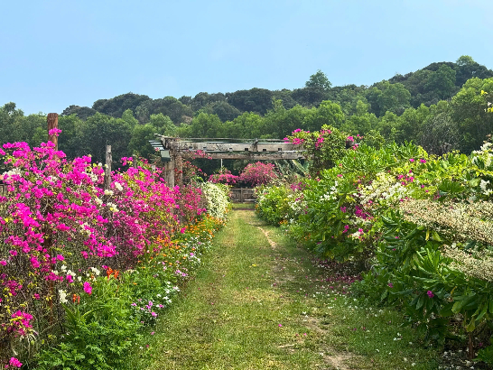 Thuê biệt thự Hồ Tràm View Núi Đẹp 