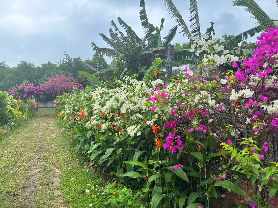 Rent a Hill-View Villa in Ho Tram – Slow Down in Style