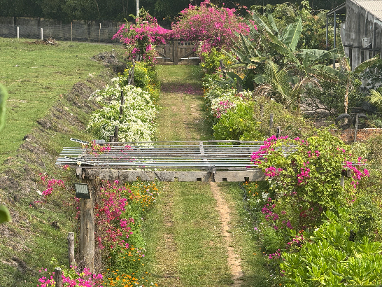 Rent Ho Tram Villa with Private Access–Chill Without Disturbance