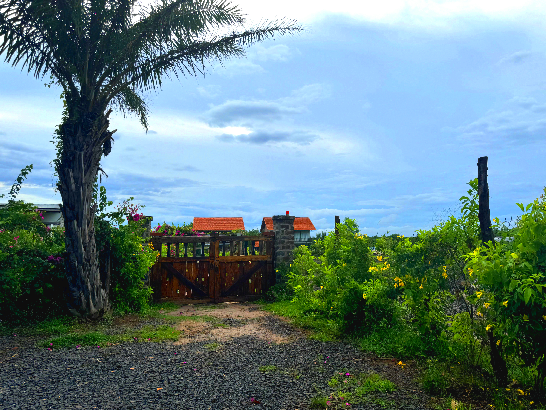 Rent a Ho Tram Villa for Your Summer 2025 Getaway