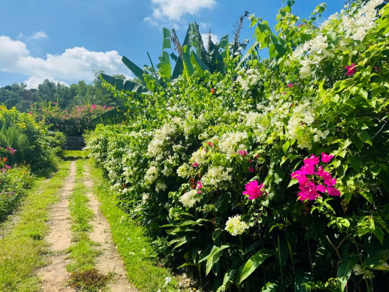 Kinh nghiệm thuê villa Hồ Tràm