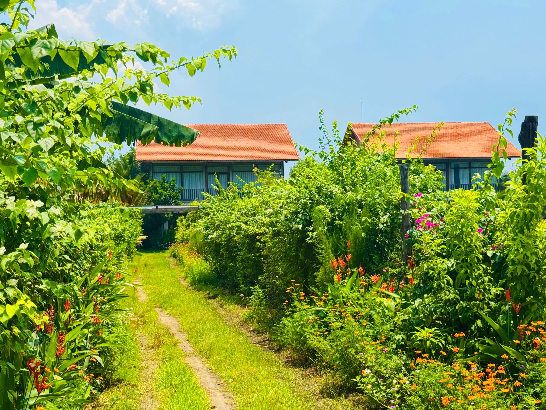 Thuê Biệt Thự Hồ Tràm Giá Hấp Dẫn Mùa Du Lịch