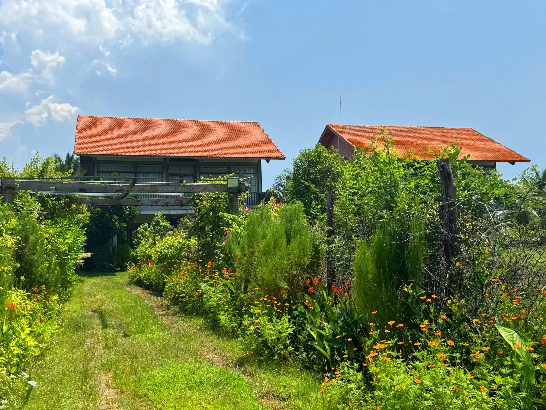 Renting a Ho Tram Villa in the Low Season