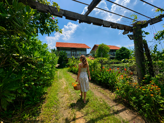 Ho Tram for Friends: What to Eat, Do, and Where to Stay?